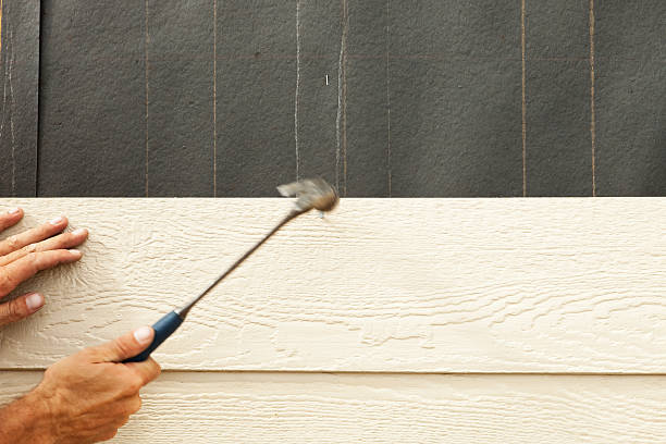 Best Vinyl Siding Installation  in Muse, PA